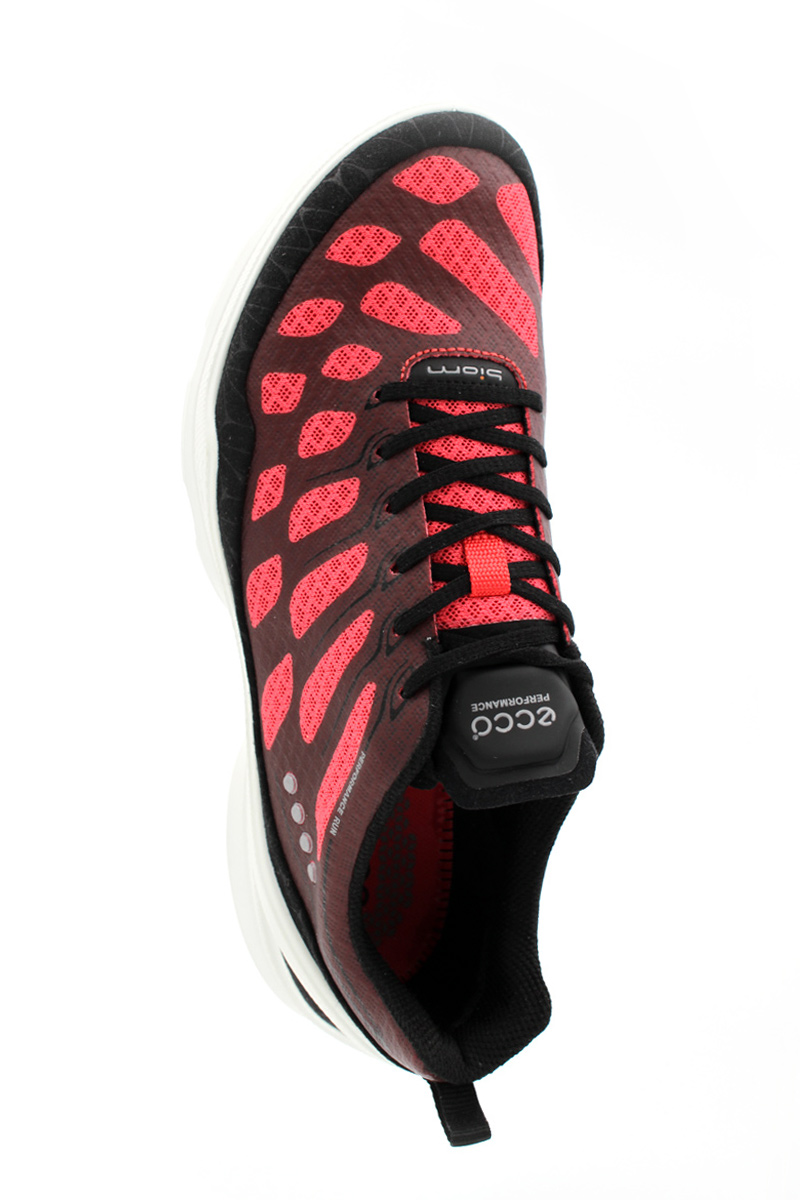 Ecco Biom EVO Racer